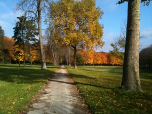 photo-7--copie-1.jpg