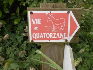 Aizenay Entre Vie et Quatorzane (29)