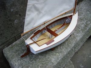cat boat