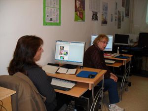 SAM_2296--Copier-.JPG