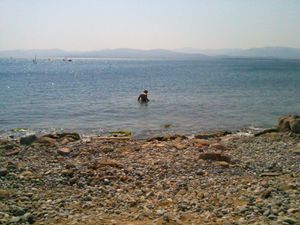 Photo0031