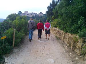 Photo0290
