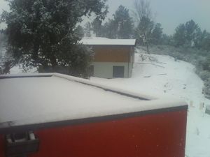 DSC02619
