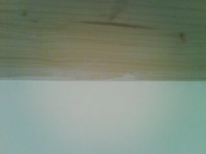 DSC02366