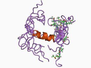 La protéine bêta-amyloïde