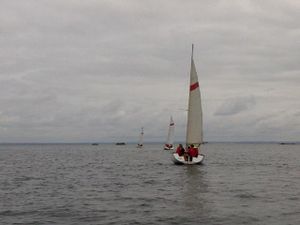 mms_img-2091664509.jpg