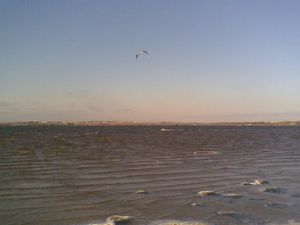 Photo009