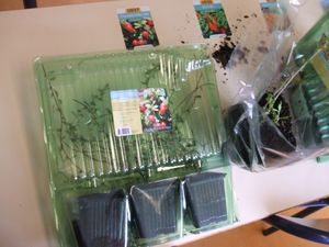 2013_4-avril_Vente-de-fleurs_13.JPG