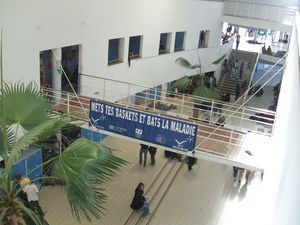 DSCF2517.JPG