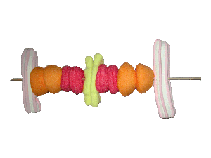 brochette-n-3-eclaircie--800-x-600-.gif