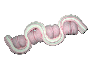 brochette-n-5-eclaircie-800-x-600-.gif