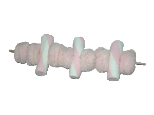 brochette-n-6-eclaircie-800x-600-.gif