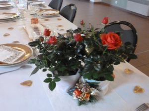 NOEL-2012-011.JPG