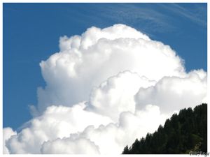 coton-de-nuages.jpg