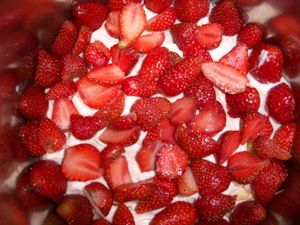 fraisier-trianon-mai-2010-048.jpg