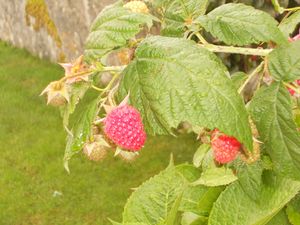 DSCN1178.JPG