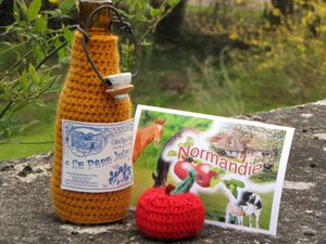 crochet 2010 2438