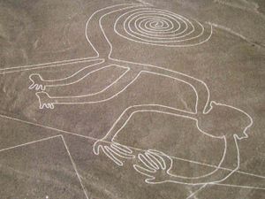 nazca Singe