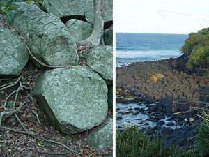 Burleigh-head---M.Flinders.jpg