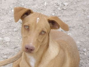 2012-3-6050.JPG