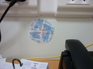 P1000021.JPG