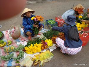 05-Vietnam, Hué, Thanh Toan, 2014 (9)