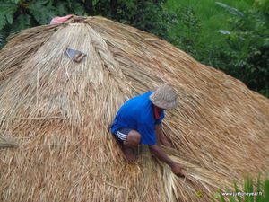 08-Bali 3 Fabrication d'un toit de chaume de riz (12)