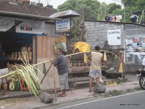 Bali,Galungan,confection d'un Penjor,Ubud,Indonés-copie-1