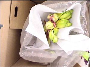bouquet emballé