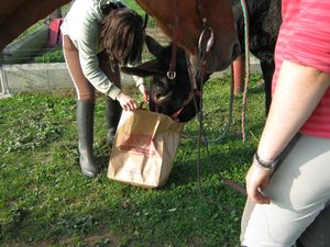 anniversaire de Ninas 031