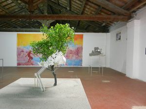 DSCN6346.JPG