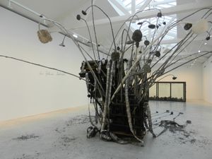 DSCN7714.JPG
