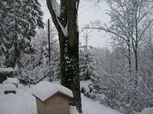 fevrier 2013 002