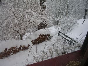 fevrier 2013 010