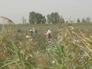 Photos PPRI1 6 169