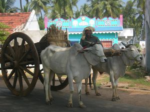 Photos PPRI3 08 117
