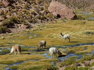 03tatio0340