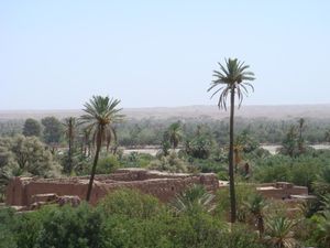 SKOURA_vue-de-la-palmeraie-skoura-maroc