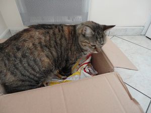 DSC00846