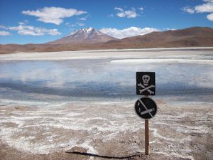 2010-05-21 Uyuni 532