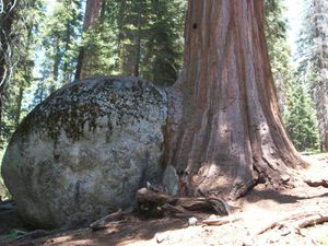 2010-06-29 Sequoia 122