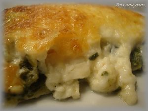 lasagnes épinards picodon11