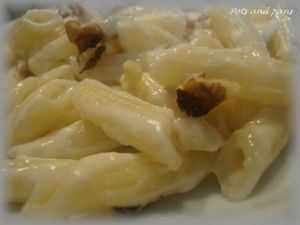 mini penne 3 from noix8
