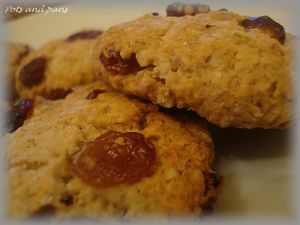 cookies avoine cranberries13