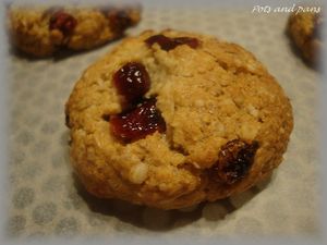 cookies avoine cranberries3