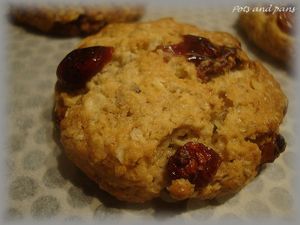 cookies avoine cranberries4