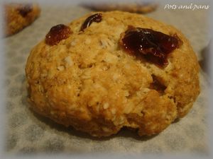 cookies avoine cranberries6