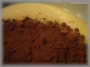 bûche chocolat 2010 3