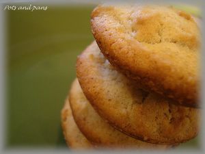 cookies épices6