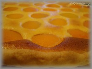 tarte abricots2